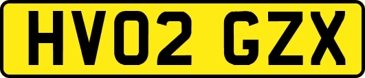 HV02GZX