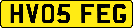 HV05FEG
