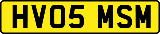 HV05MSM