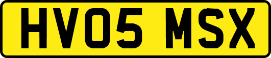 HV05MSX