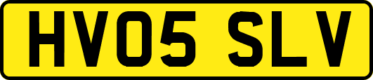 HV05SLV