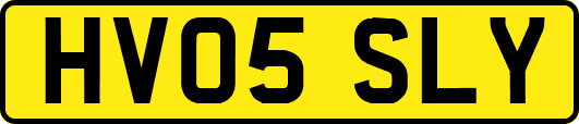 HV05SLY