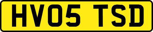 HV05TSD