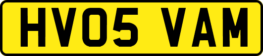 HV05VAM