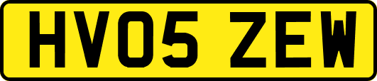 HV05ZEW
