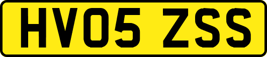 HV05ZSS