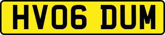 HV06DUM