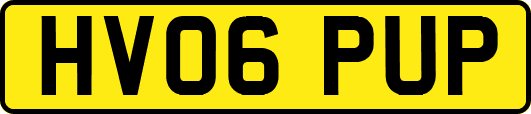 HV06PUP