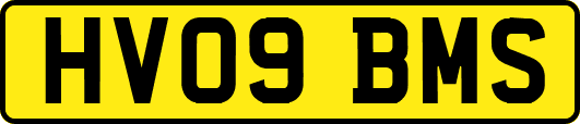 HV09BMS