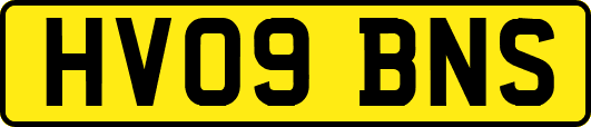 HV09BNS