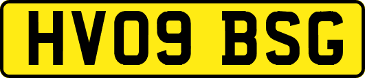 HV09BSG