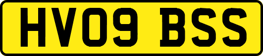 HV09BSS