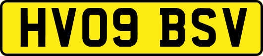 HV09BSV