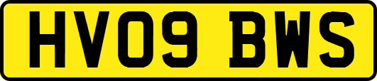 HV09BWS