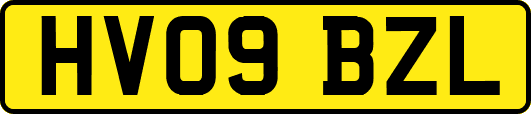 HV09BZL
