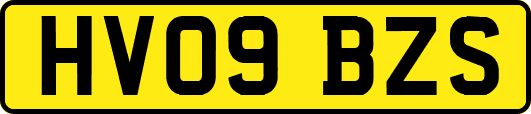 HV09BZS