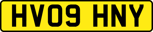 HV09HNY