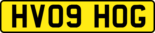 HV09HOG