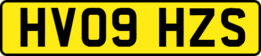 HV09HZS