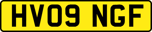 HV09NGF