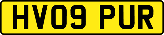 HV09PUR