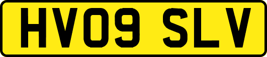 HV09SLV