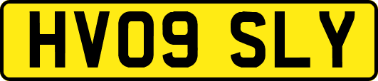 HV09SLY