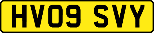 HV09SVY