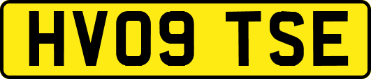 HV09TSE
