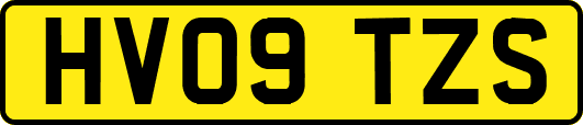 HV09TZS
