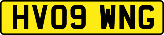 HV09WNG