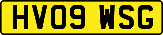 HV09WSG