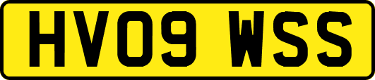 HV09WSS