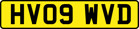 HV09WVD