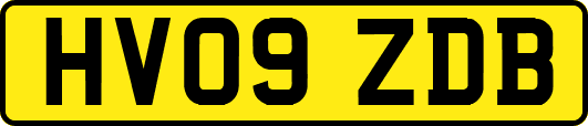 HV09ZDB