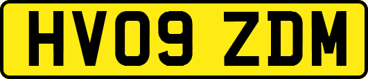 HV09ZDM