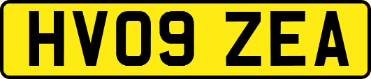HV09ZEA