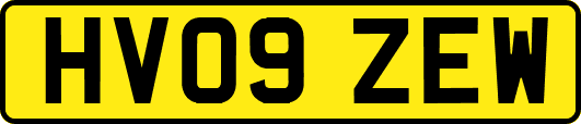 HV09ZEW