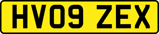 HV09ZEX