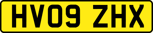 HV09ZHX
