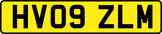 HV09ZLM