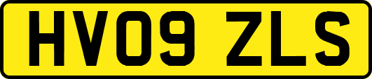 HV09ZLS