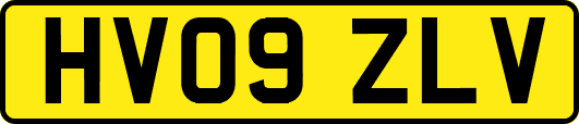 HV09ZLV