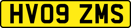 HV09ZMS