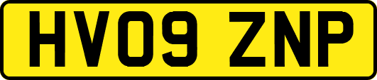 HV09ZNP