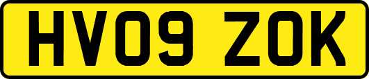 HV09ZOK
