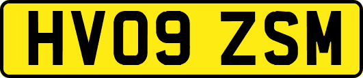 HV09ZSM