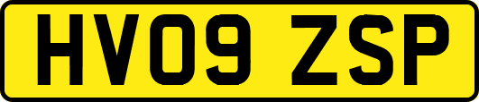 HV09ZSP