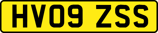 HV09ZSS