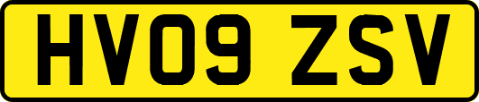 HV09ZSV